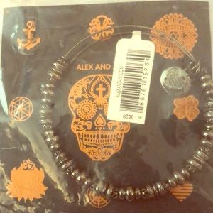 NEW Alex and Ani Bracelet - Midnight Silver